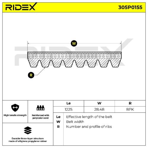 RIDEX Keilrippenriemen für MAZDA 5 (CR19) Bild RIDEX Keilrippenriemen für MAZDA 5 (CR19)