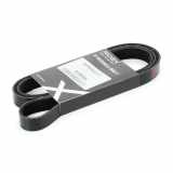Keilrippenriemen RIDEX für VW Golf IV Schrägheck (1J1) für BMW 5 Touring (F11)