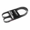 Keilrippenriemen RIDEX 5PK1125 für AUDI A6 Avant (4F5, C6) A6 Limousine A5 Coupe Bild Keilrippenriemen RIDEX 5PK1125 für AUDI A6 Avant (4F5, C6) A6 Limousine A5 Coupe