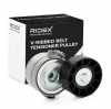 RIDEX 310T0016 Spannrolle Keilrippenriemen f&uuml;r FORD Focus II Schr&auml;gheck 1318336