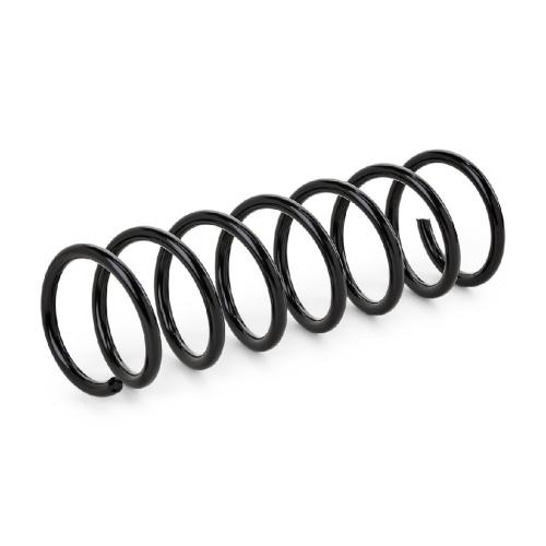 RIDEX 188C0256 2x Federn Fahrwerksfedern Hinten für MAZDA 3 (BK) BBM228011 Bild RIDEX 188C0256 2x Federn Fahrwerksfedern Hinten für MAZDA 3 (BK) BBM228011