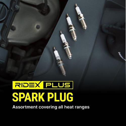 RIDEX PLUS 686S0025P Zündkerze Platinum Platin Spanner Size: 16 mm Gewindelänge: Bild RIDEX PLUS 686S0025P Zündkerze Platinum Platin Spanner Size: 16 mm Gewindelänge: