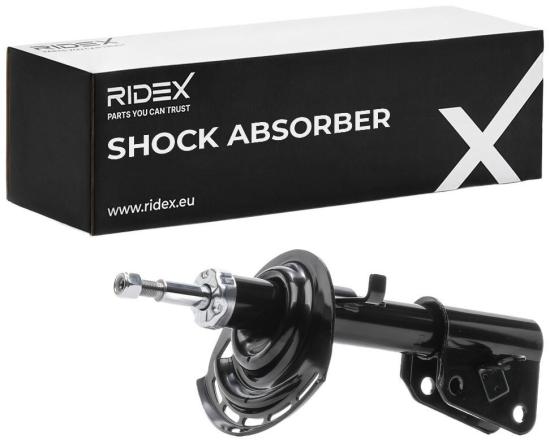 RIDEX 854S18831 2x Stoßdämpfer Federbein Öldruck Vorne für RENAULT 8200620380 Bild RIDEX 854S18831 2x Stoßdämpfer Federbein Öldruck Vorne für RENAULT 8200620380