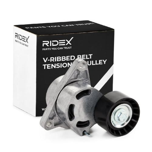 RIDEX 310T0062 Spannrolle Keilrippenriemen für DACIA DUSTER 7701473440 09121114 Bild RIDEX 310T0062 Spannrolle Keilrippenriemen für DACIA DUSTER 7701473440 09121114