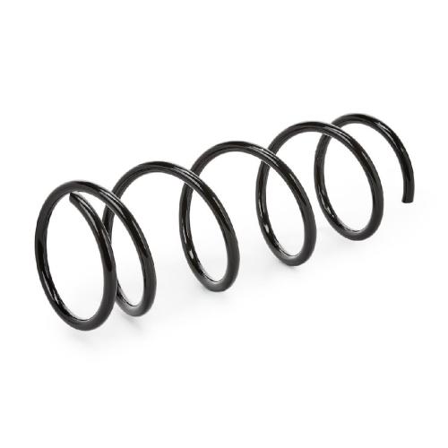 RIDEX 188C0341 2x Federn Fahrwerksfedern Vorne für SUZUKI IGNIS II Bild RIDEX 188C0341 2x Federn Fahrwerksfedern Vorne für SUZUKI IGNIS II