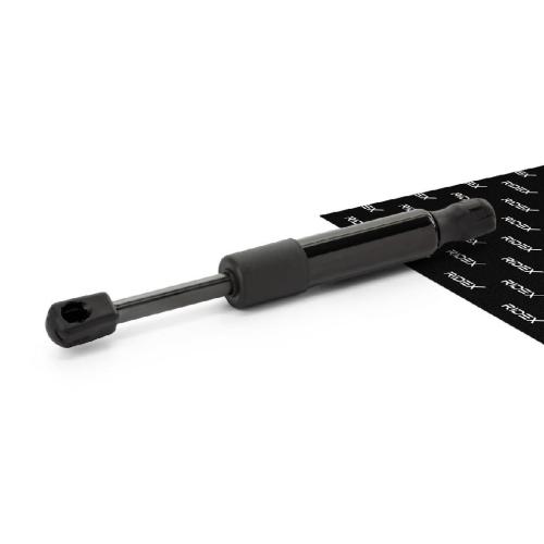 RIDEX Motorhaubendämpfer passend für PEUGEOT 406 (8B) Bild RIDEX Motorhaubendämpfer passend für PEUGEOT 406 (8B)
