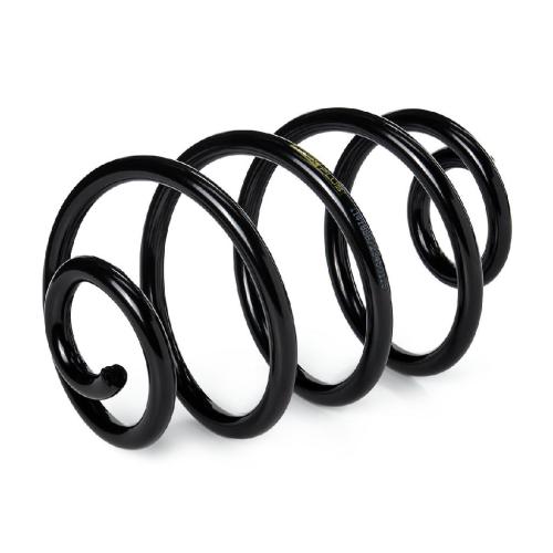 RIDEX PLUS 188C0046P 2x Federn Fahrwerksfedern Hinten für OPEL 424057 Bild RIDEX PLUS 188C0046P 2x Federn Fahrwerksfedern Hinten für OPEL 424057
