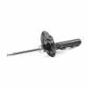 RIDEX 854S18193 2x Stoßdämpfer Federbein Gasdruck Vorne für RENAULT 543022967R Bild RIDEX 854S18193 2x Stoßdämpfer Federbein Gasdruck Vorne für RENAULT 543022967R