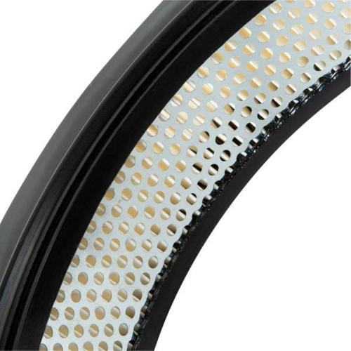 RIDEX 8A0598 Motor Luftfilter Rund Filtereinsatz Umluftfilter Zentrifuge Bild RIDEX 8A0598 Motor Luftfilter Rund Filtereinsatz Umluftfilter Zentrifuge