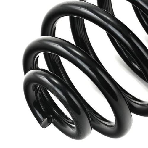 RIDEX 188C0141 2x Federn Fahrwerksfedern Hinten für BMW 3 Limousine (E36) Bild RIDEX 188C0141 2x Federn Fahrwerksfedern Hinten für BMW 3 Limousine (E36)