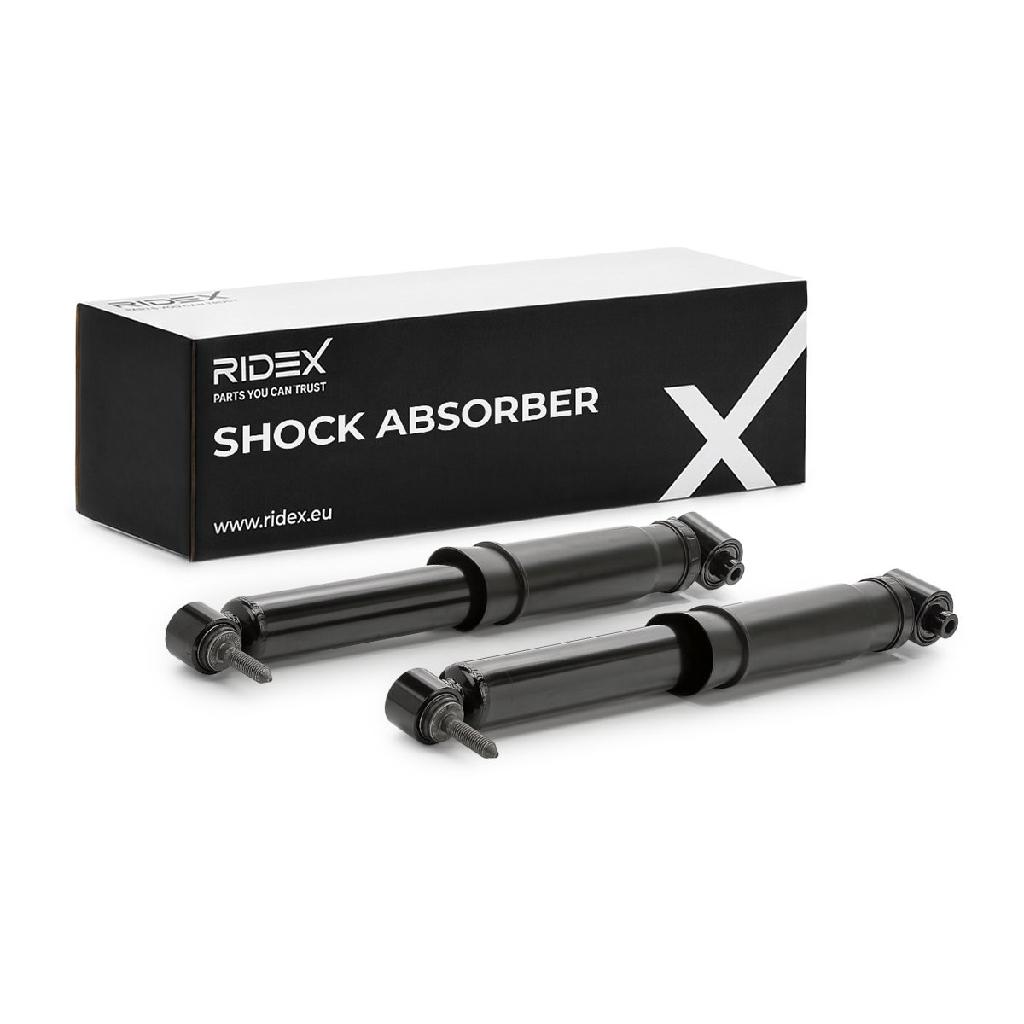 RIDEX 854S20264 2x Stoßdämpfer Gasdruck Hinten für RENAULT Scénic 1II (JZ0/1)