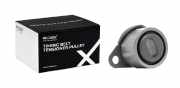 RIDEX Spannrolle Zahnriemen für RENAULT Clio 1I (BB0/1/2, CB0/1/2)