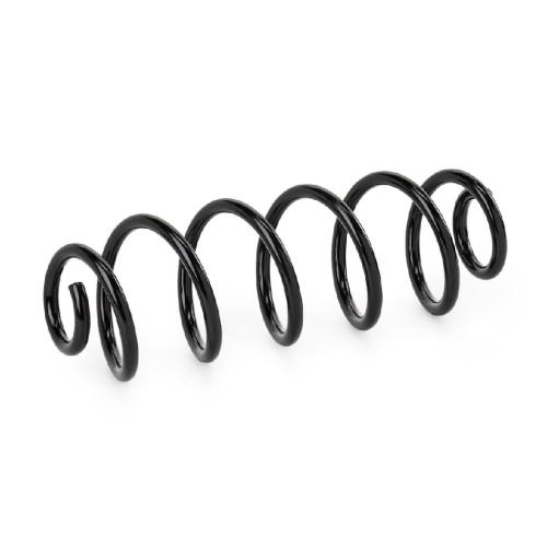 RIDEX 188C2462 2x Federn Fahrwerksfedern Hinten für AUDI A6 Avant Bild RIDEX 188C2462 2x Federn Fahrwerksfedern Hinten für AUDI A6 Avant