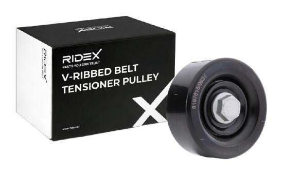 RIDEX 310T0186 Spannrolle Keilrippenriemen für HYUNDAI GETZ (TB) 2528727001 Bild RIDEX 310T0186 Spannrolle Keilrippenriemen für HYUNDAI GETZ (TB) 2528727001