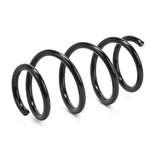 RIDEX PLUS 188C0491P 2x Federn Fahrwerksfedern Vorne für FIAT 1695180480 Bild RIDEX PLUS 188C0491P 2x Federn Fahrwerksfedern Vorne für FIAT 1695180480