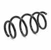RIDEX PLUS 188C0491P 2x Federn Fahrwerksfedern Vorne für FIAT 1695180480 Bild RIDEX PLUS 188C0491P 2x Federn Fahrwerksfedern Vorne für FIAT 1695180480