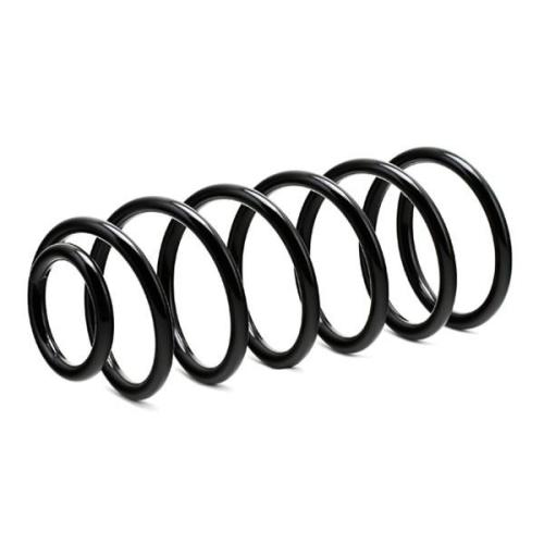 RIDEX 188C0197 2x Federn Fahrwerksfedern Vorne für VW Golf 1V Schrägheck Bild RIDEX 188C0197 2x Federn Fahrwerksfedern Vorne für VW Golf 1V Schrägheck
