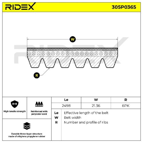 RIDEX Keilrippenriemen für AUDI A4 Avant (8K5, B8) Bild RIDEX Keilrippenriemen für AUDI A4 Avant (8K5, B8)