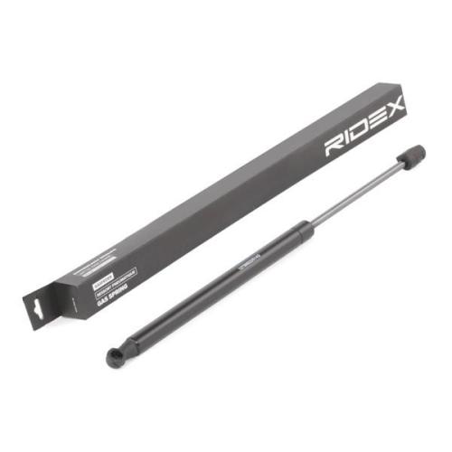 RIDEX Motorhaubendämpfer für HYUNDAI SANTA FÉ I (SM) Bild RIDEX Motorhaubendämpfer für HYUNDAI SANTA FÉ I (SM)