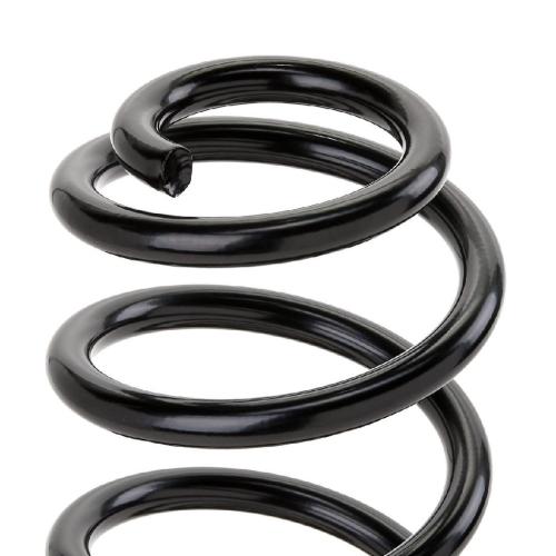 RIDEX 188C0497 2x Federn Fahrwerksfedern Hinten für VW Golf 5I (5K1) Bild RIDEX 188C0497 2x Federn Fahrwerksfedern Hinten für VW Golf 5I (5K1)