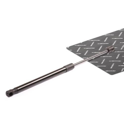 RIDEX 219G0052 Heckklappendämpfer Fahrzeugheckklappe Länge:417mm 500N Hub: 160mm Bild RIDEX 219G0052 Heckklappendämpfer Fahrzeugheckklappe Länge:417mm 500N Hub: 160mm