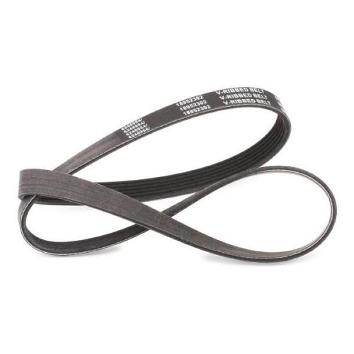 Keilrippenriemen RIDEX PLUS für VW POLO (9N) für AUDI A4 Avant (8K5, B8) Bild Keilrippenriemen RIDEX PLUS für VW POLO (9N) für AUDI A4 Avant (8K5, B8)
