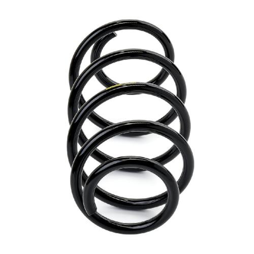 RIDEX PLUS 188C0089P 2x Federn Fahrwerksfedern Vorne für VW Golf 5I (5K1) Bild RIDEX PLUS 188C0089P 2x Federn Fahrwerksfedern Vorne für VW Golf 5I (5K1)
