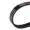 RIDEX Keilrippenriemen für FORD Fiesta Mk5 Schrägheck (JH1, JD1, JH3, JD3) Bild RIDEX Keilrippenriemen für FORD Fiesta Mk5 Schrägheck (JH1, JD1, JH3, JD3)