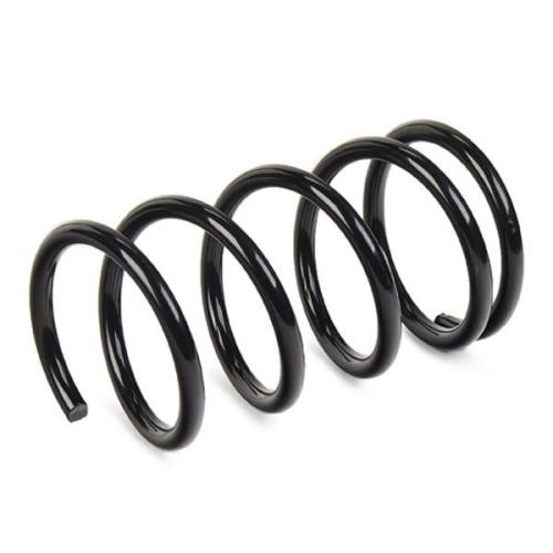 RIDEX 188C0093 2x Federn Fahrwerksfedern Hinten für TOYOTA RAV 4 II Bild RIDEX 188C0093 2x Federn Fahrwerksfedern Hinten für TOYOTA RAV 4 II