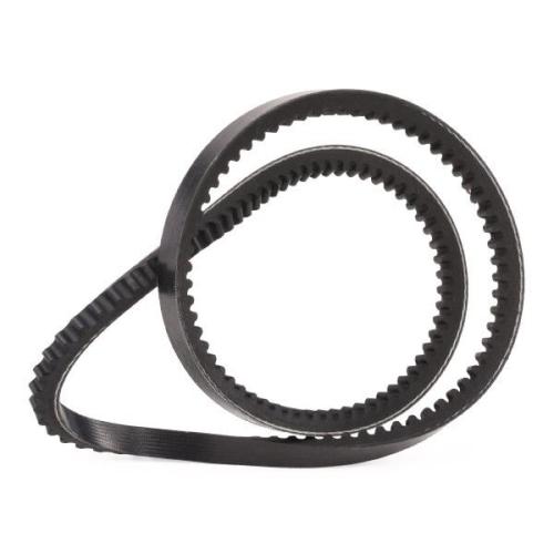 RIDEX PLUS 10C0062P Keilriemen 838mm für VW Transporter T1II Bus für AUDI Bild RIDEX PLUS 10C0062P Keilriemen 838mm für VW Transporter T1II Bus für AUDI