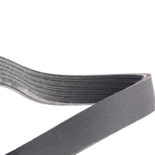 RIDEX PLUS Keilrippenriemen für VW Golf 5II Schrägheck (5G1, BQ1, BE1, BE2) Bild RIDEX PLUS Keilrippenriemen für VW Golf 5II Schrägheck (5G1, BQ1, BE1, BE2)