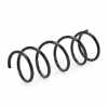RIDEX 188C0341 2x Federn Fahrwerksfedern Vorne für SUZUKI IGNIS II Bild RIDEX 188C0341 2x Federn Fahrwerksfedern Vorne für SUZUKI IGNIS II