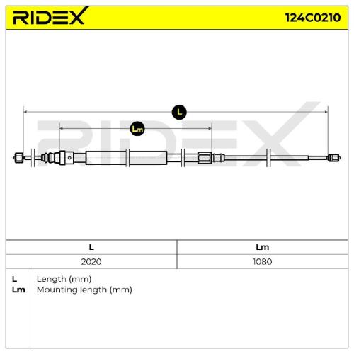 RIDEX Handbremsseil Hinten für RENAULT Megane 1I Kombi (KM0/1) Bild RIDEX Handbremsseil Hinten für RENAULT Megane 1I Kombi (KM0/1)