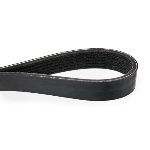 Keilrippenriemen RIDEX 6PK1816 für TOYOTA COROLLA Verso (ZER, ZZE12, R1) Bild Keilrippenriemen RIDEX 6PK1816 für TOYOTA COROLLA Verso (ZER, ZZE12, R1)