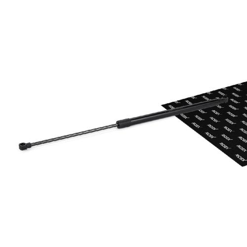 RIDEX 219G0358 Heckklappendämpfer beidseitig Länge:569,5mm 670N Hub: 230mm Bild RIDEX 219G0358 Heckklappendämpfer beidseitig Länge:569,5mm 670N Hub: 230mm