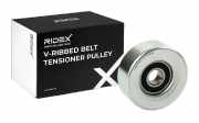 RIDEX 310T0362 Spannrolle Keilrippenriemen für BMW 1 Schrägheck (F20)