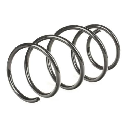 RIDEX 188C0079 2x Federn Fahrwerksfedern Vorne für VW Passat Variant Bild RIDEX 188C0079 2x Federn Fahrwerksfedern Vorne für VW Passat Variant