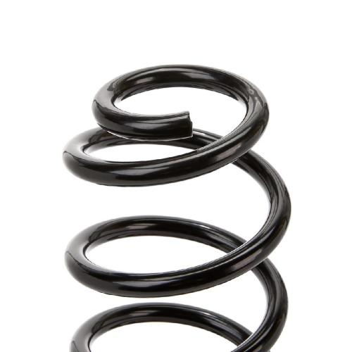RIDEX 188C0090 2x Federn Fahrwerksfedern Hinten für VW Golf 5I (5K1) Bild RIDEX 188C0090 2x Federn Fahrwerksfedern Hinten für VW Golf 5I (5K1)