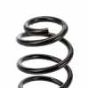 RIDEX 188C0090 2x Federn Fahrwerksfedern Hinten für VW Golf 5I (5K1) Bild RIDEX 188C0090 2x Federn Fahrwerksfedern Hinten für VW Golf 5I (5K1)