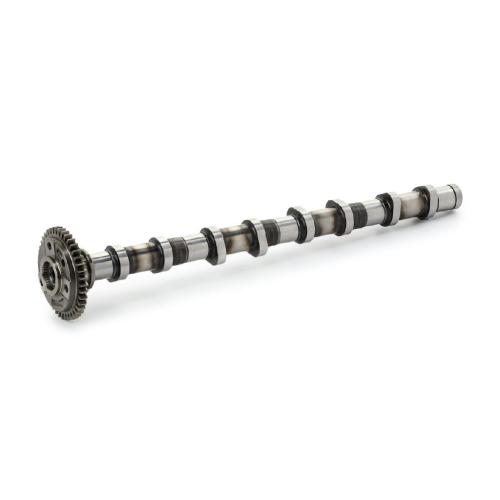 RIDEX Nockenwelle für BMW 3 Touring (E91) Bild RIDEX Nockenwelle für BMW 3 Touring (E91)