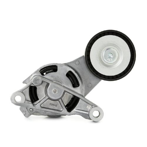 RIDEX PLUS Spannarm Keilrippenriemen für VW Golf 5 Schrägheck (1K1) Bild RIDEX PLUS Spannarm Keilrippenriemen für VW Golf 5 Schrägheck (1K1)