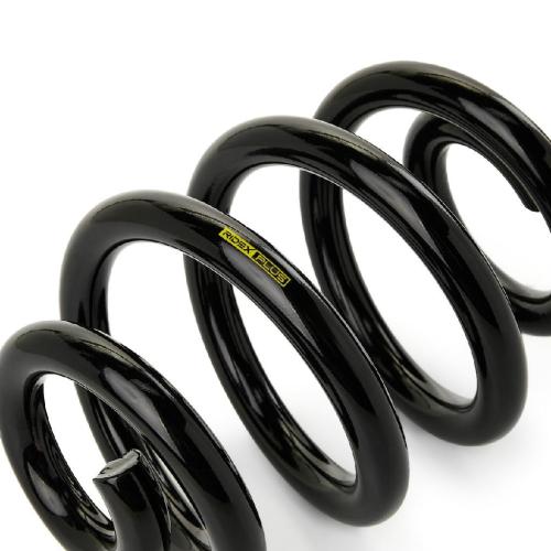 RIDEX PLUS 188C0281P 2x Federn Fahrwerksfedern Hinten für VW 7H0511115AG Bild RIDEX PLUS 188C0281P 2x Federn Fahrwerksfedern Hinten für VW 7H0511115AG