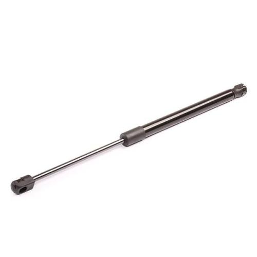 RIDEX 219G0052 Heckklappendämpfer Fahrzeugheckklappe Länge:417mm 500N Hub: 160mm Bild RIDEX 219G0052 Heckklappendämpfer Fahrzeugheckklappe Länge:417mm 500N Hub: 160mm