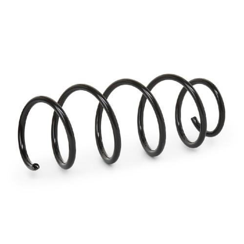 RIDEX 188C0048 2x Federn Fahrwerksfedern Vorne für FIAT GRANDE PUNTO (199) Bild RIDEX 188C0048 2x Federn Fahrwerksfedern Vorne für FIAT GRANDE PUNTO (199)
