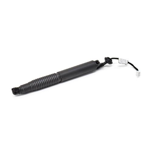 RIDEX 219G1799 Heckklappendämpfer links für TESLA Model 3 (5YJ3) 155148800C Bild RIDEX 219G1799 Heckklappendämpfer links für TESLA Model 3 (5YJ3) 155148800C