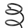 RIDEX 188C0553 2x Federn Fahrwerksfedern Vorne für RENAULT 540100006R Bild RIDEX 188C0553 2x Federn Fahrwerksfedern Vorne für RENAULT 540100006R