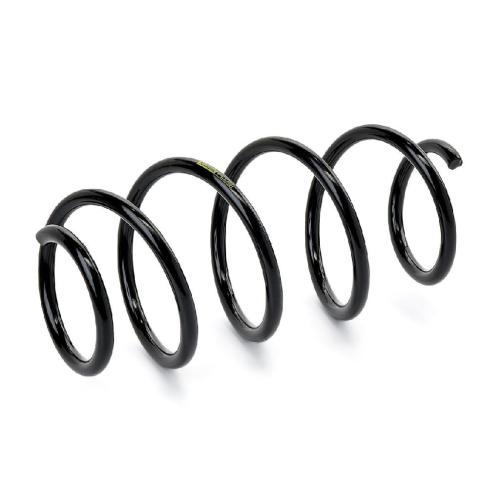 RIDEX PLUS 188C0059P 2x Federn Fahrwerksfedern Vorne für VW Golf 5I (5K1) Bild RIDEX PLUS 188C0059P 2x Federn Fahrwerksfedern Vorne für VW Golf 5I (5K1)