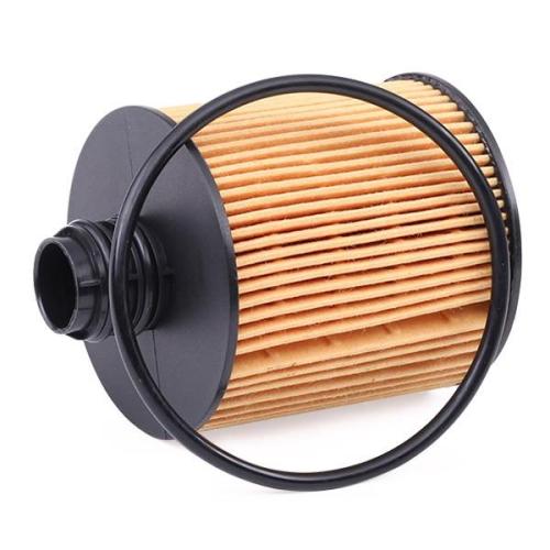 RIDEX Ölfilter Motorölfilter Filtereinsatz mit Dichtungen 7O0142 für FIAT Bild RIDEX Ölfilter Motorölfilter Filtereinsatz mit Dichtungen 7O0142 für FIAT