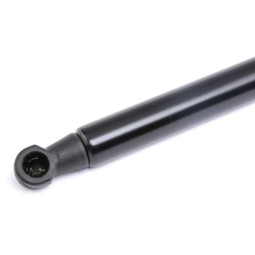 RIDEX 219G0578 Heckklappendämpfer beidseitig Länge:296mm 250N Hub: 95mm für BMW Bild RIDEX 219G0578 Heckklappendämpfer beidseitig Länge:296mm 250N Hub: 95mm für BMW