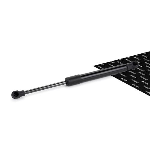 RIDEX 219G0170 Heckklappendämpfer beidseitig Länge:286mm 310N Hub: 100mm 8731C9 Bild RIDEX 219G0170 Heckklappendämpfer beidseitig Länge:286mm 310N Hub: 100mm 8731C9